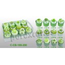 set 12 cupcakes cupcake boxes